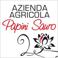 AZIENDA AGRICOLA PAPINI SAURO