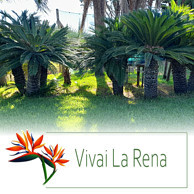 VIVAI LA RENA